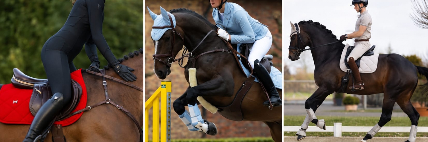 MAXIMILIAN EQUESTRIAN