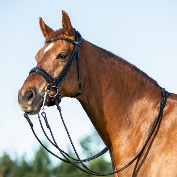 CABEÇADA  PARA DRESSAGE ACAVALLO BRIDLE DOUBLE REINS