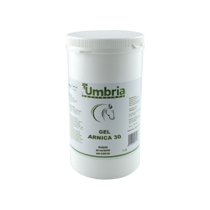 GEL ARNICA 30 AMAHORSE 1000 GR