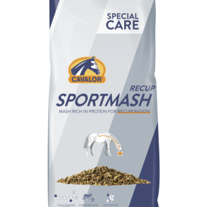 SPORTMASH RECUP