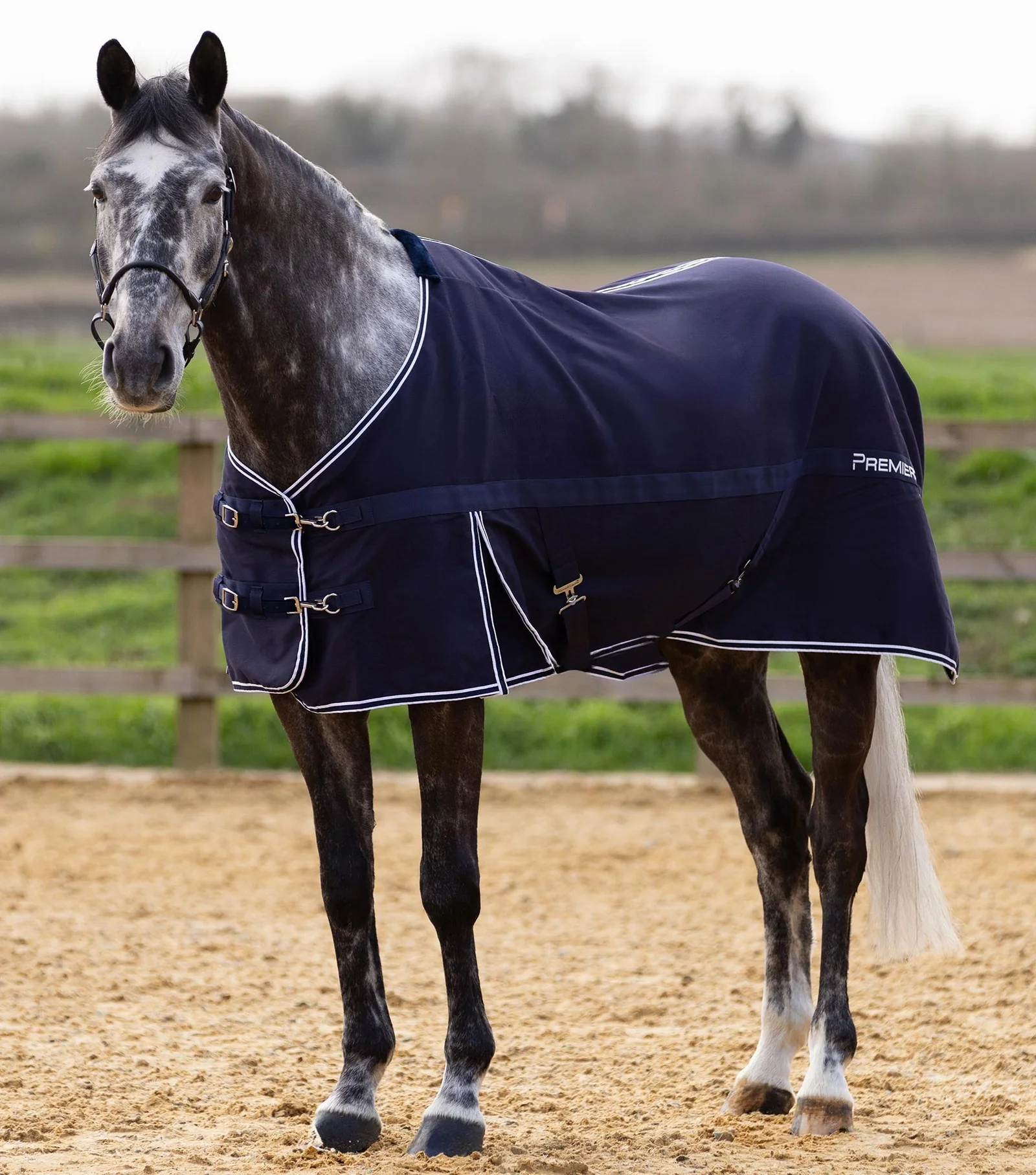 COBREJAO PARA CAVALO MANTA FINA BARRASO STABLE SHEET  PREMIER EQUINE