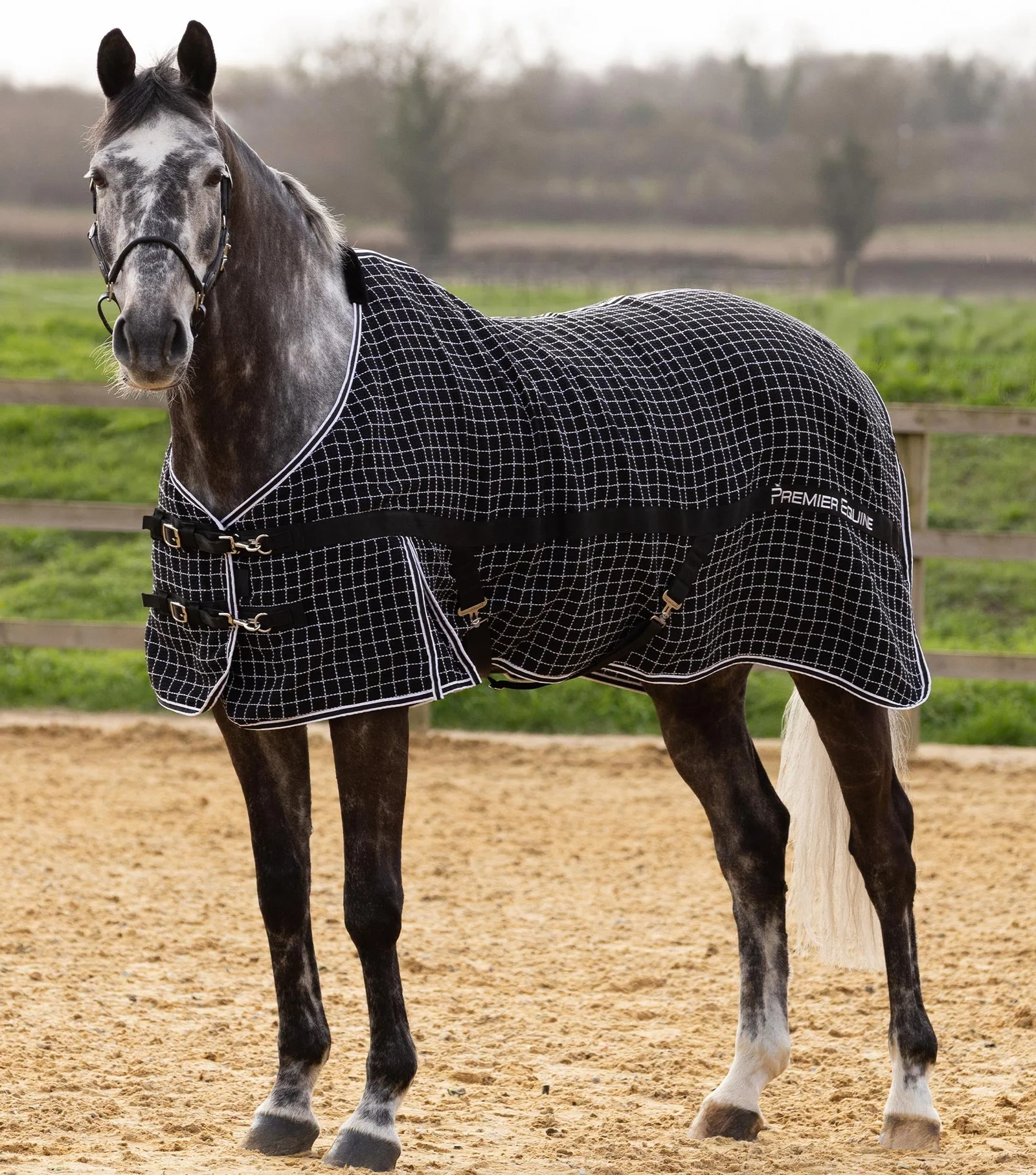 COBREJAO PARA CAVALO MANTA FINA BARRASSO WAFFLE COOLER RUG PRETO PREMIER EQUINE