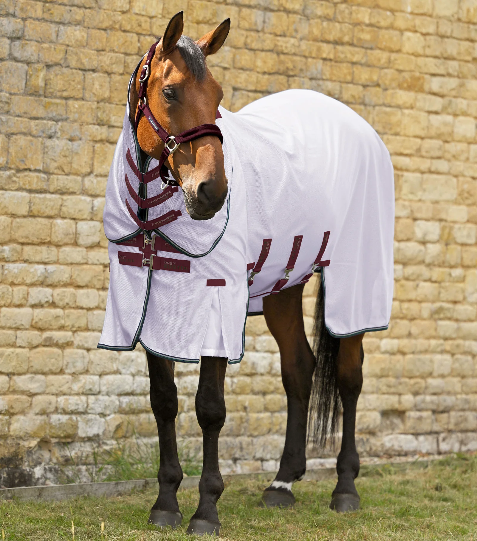 MANTA ANTI-MOSCAS BUG BUSTER COM PALA AMOVÍVEL PARA PESCOÇO E BARRIGA PREMIER EQUINE