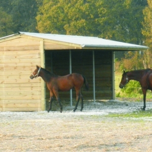 ABRIGO DE MADEIRA PARA CAVALOS CHEVAUX COTTAGE