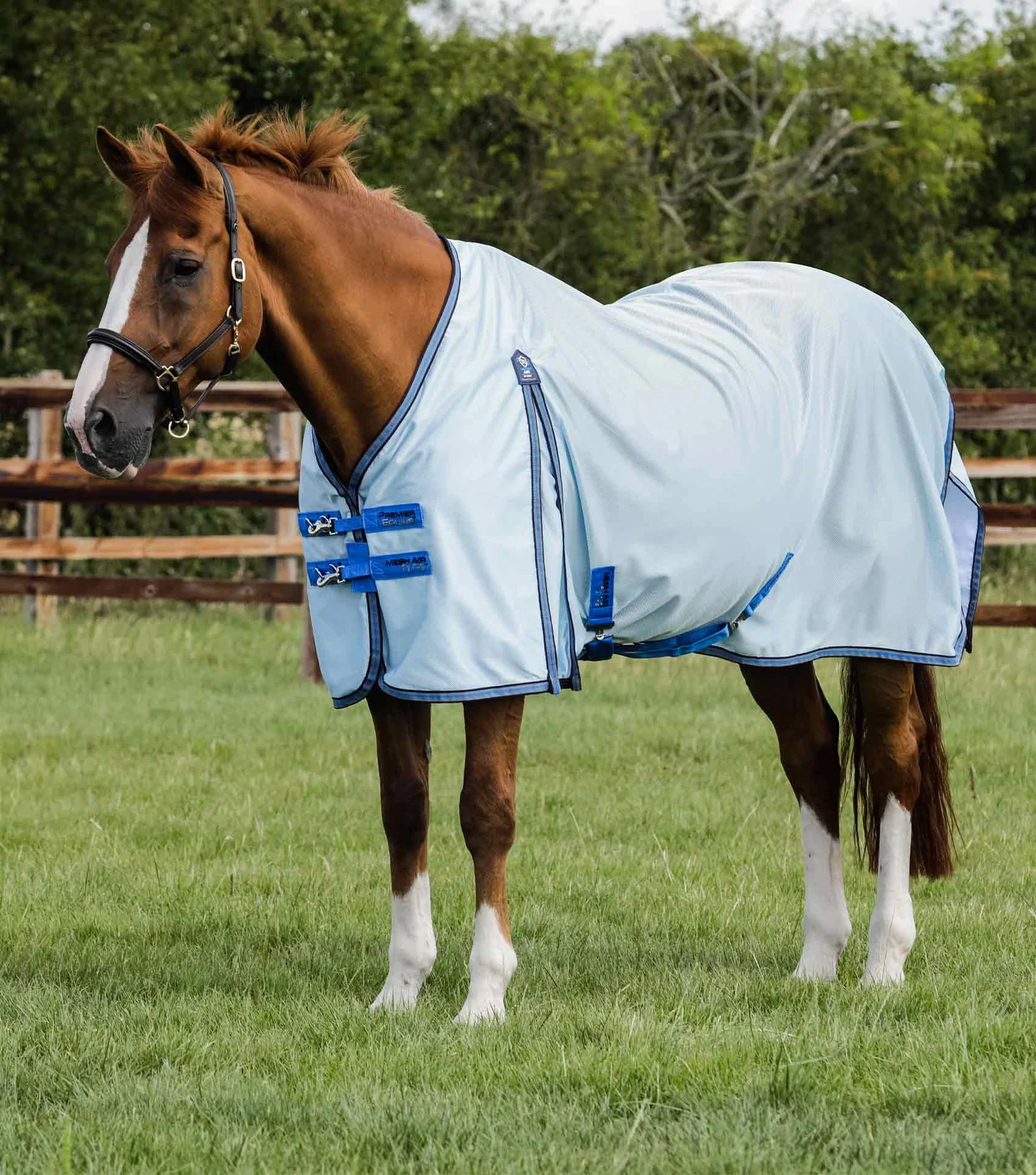 MANTA ANTI-MOSCAS MESH AIR COM CINTAS AZUIS PREMIER EQUINE