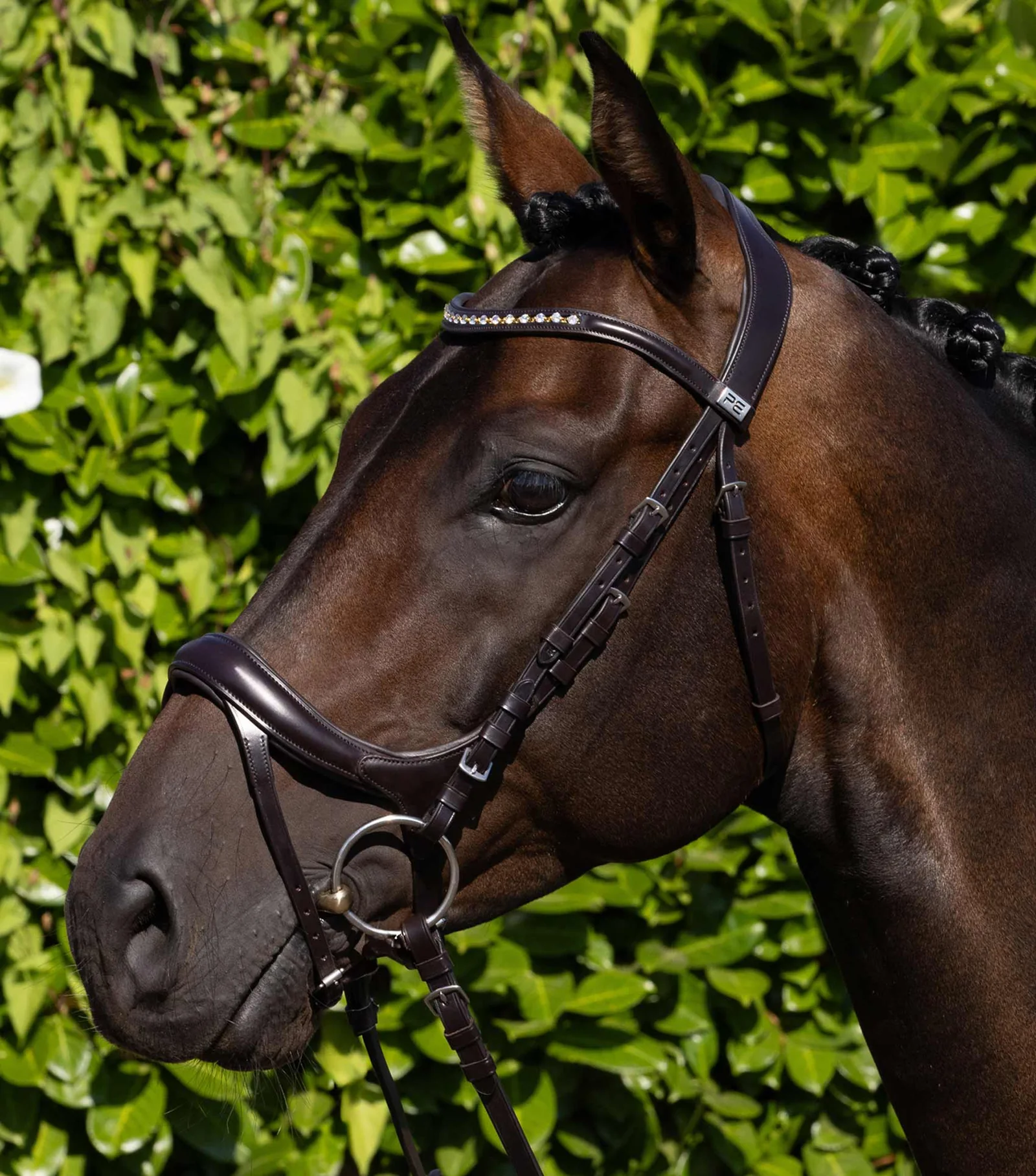 CABEÇADA PALAZZO ANATOMICAL BRIDLE CASTANHO PREMIER EQUINE