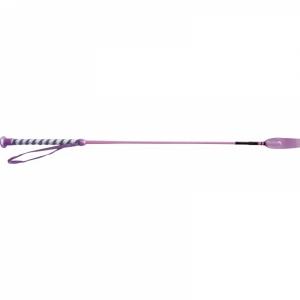 Stick Cravache Whip & Go 