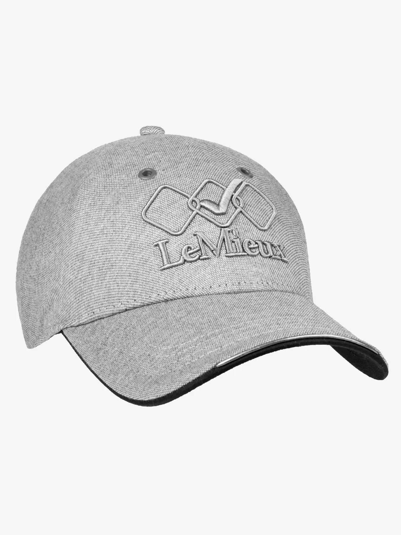 BONE TEAM CAP GREY LEMIEUX