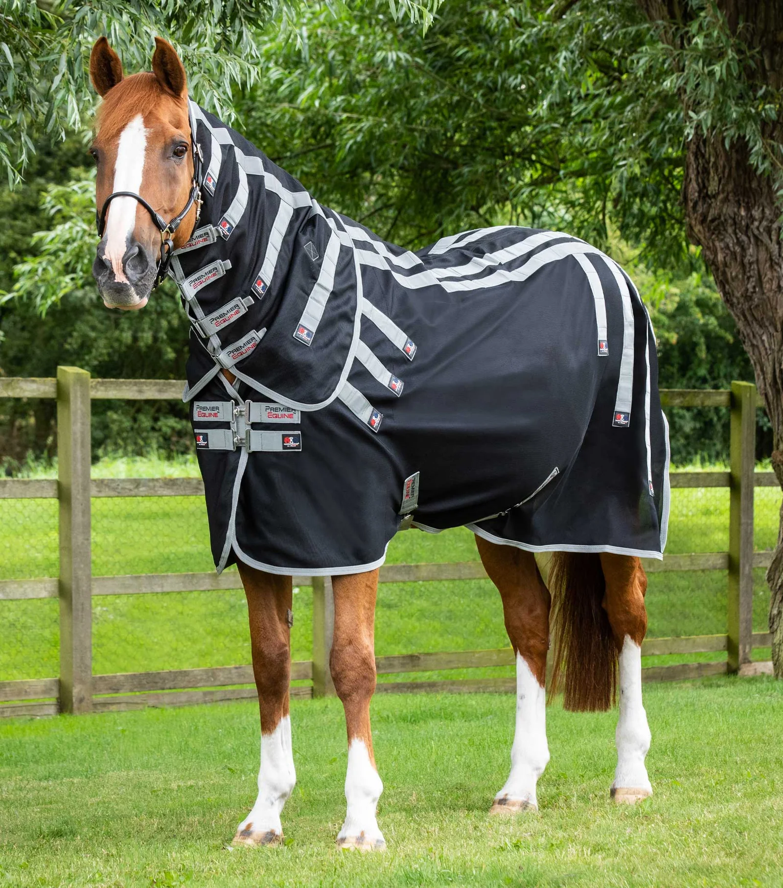 COBREJAO MAGNETICO MAGNI-TEQUE COM COBERTURA DE PESCOÇO PREMIER EQUINE 